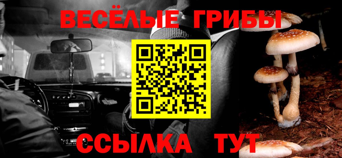 Псилоцибиновые грибы Cubensis  Вход с VPN  Псилоцибиновые грибы Magic Shrooms  Севастополь 